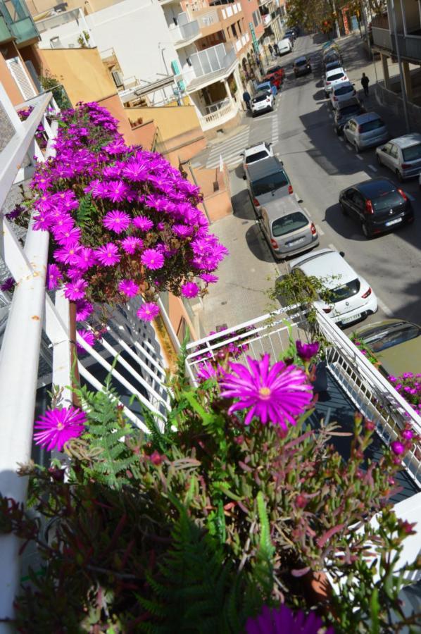 Mar Del Plata (adults Only) Gasthof El Arenal (Mallorca)