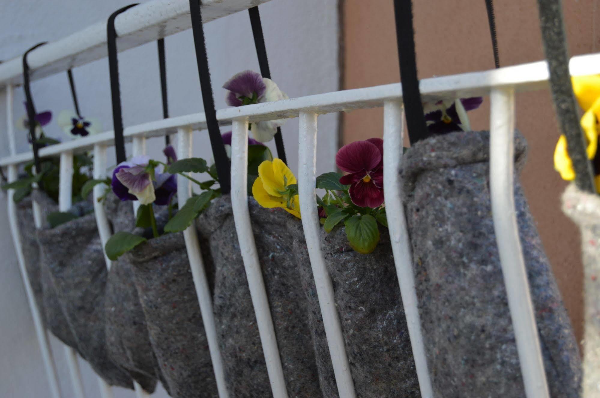 Mar Del Plata (adults Only) Gasthof